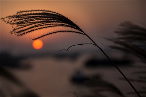 夕阳西下
