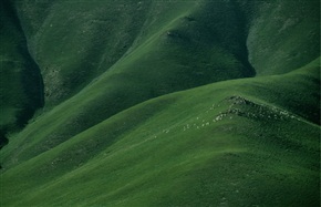 2016暑期西北环线游（083）