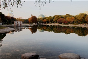 城市公园