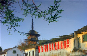 油墨震泽