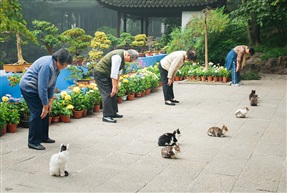 陪练