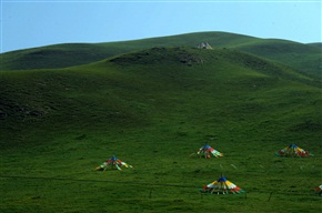 2016暑期西北环线游（100）