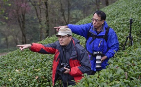 指点江山