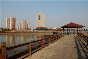 夏驾河畔