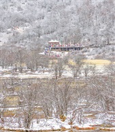 雪中行