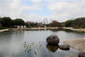 城市公园