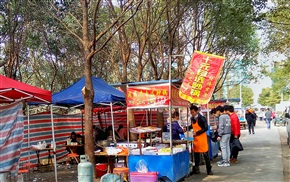 为年坚持到底