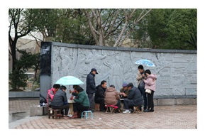 雨中的情调