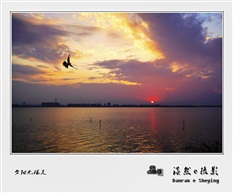夕阳无限美