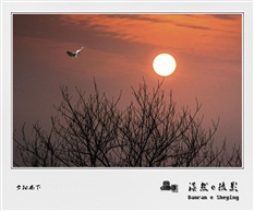 夕阳西下