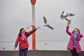 问好