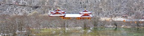 雪中行