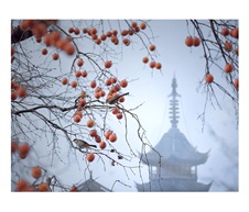 寺寺如意