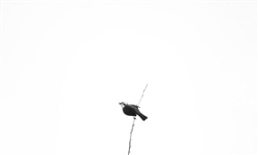 简