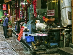 湘西辣子