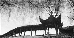 廊影