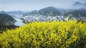 春天里
