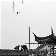 《春回廊桥》