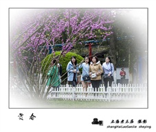 《赏春》