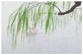 雾中晨补
