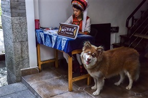 忠于职守