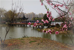 烟花三月