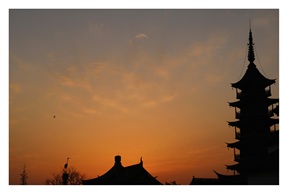 动与静