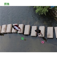 捞鱼