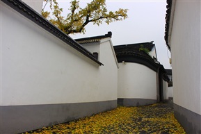 东山人家