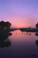 夕阳流
