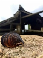 沙滩上