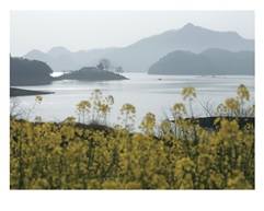 山湖春色