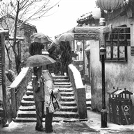《黑白43#》 