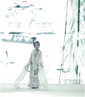  水墨《牡丹亭》