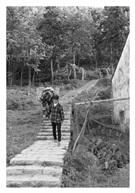 山间小路(四)