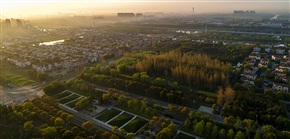 晨