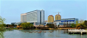 乡村城市
