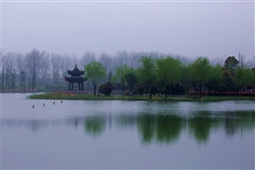 雨后尚湖