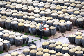 鱼露厂