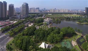 绿色动脉 （9）