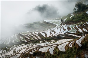 雾漫梯田