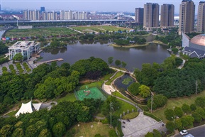 绿色动脉 （2）