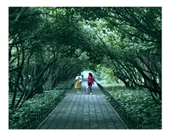 《林荫道上》