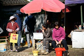 乡村生活