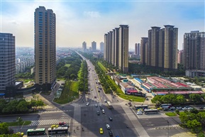 绿色动脉 （10）