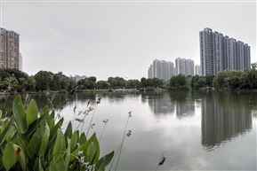 公园一景