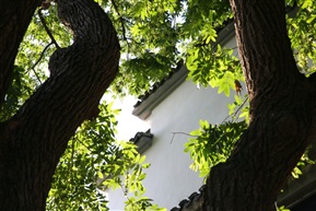 缝隙