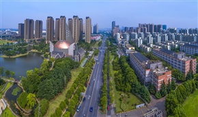 绿色动脉 （5）