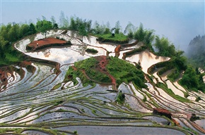 梯田风光