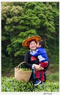 母子